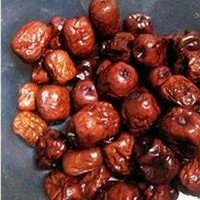 ��ҹ��С��㿪��Ц+����������ˡ�