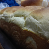 2017������