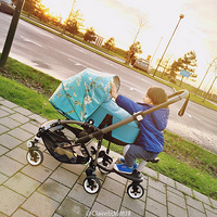 ���������⼸�����ӵ�Ӥ���Ƴ���