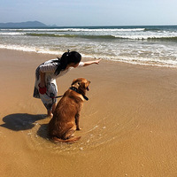 ���Ŵ󹷿����磭�°���������������