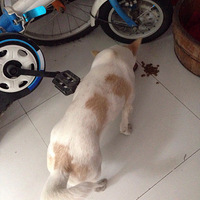 �山����С���������������