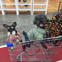 �����������һ���