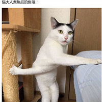 ��ʺ������֪���������������ʳ������Щ