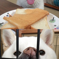 �������ƭ����Ƭ������ɵ��������������أ�