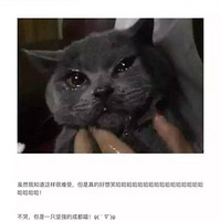 �Ĵ����ر��ܳ��������Ĵ���è�أ�