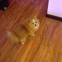 ������������ë���Դ�䣬����վ�������ʾ����