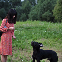 �Ҽ���������������ˣ�����ϲ������ͷ����