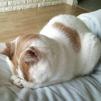 ��һ��˯�˽�������~