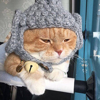 ���Ѹ�è��֯�˶�����ñ�������������������𡭡�