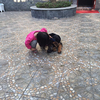 �˴���õ���飡����ů��