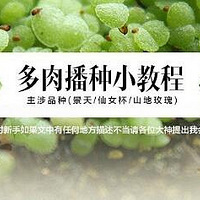 �̷̳����������ڼ��������Ķ��ⲥ�ּ��ڿ��Դ���Ӧ��