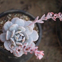 �����Ͽ������˳Զ��⣡�����ԣ��࣡�⣡