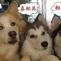 ˽ڣ͵!