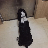 �Ҽһ����߶��� ϣ����Ұ�������