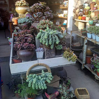 ����ȥ�������������У������డ�������ʻ�