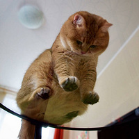 ��ʺ�����ҷʣ�����С��ɳ�