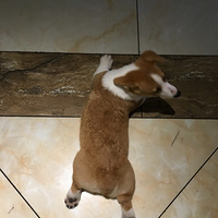 ף��һ��꼪��