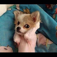 ������Ƽ����������������������޿����Ķ���