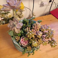 ���ⴺů�����ļ��ڣ�ɹɹ�Ҽҵ�����+�����ж��⡿