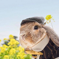 ����һֻ����cos�κν�ɫ�����Ӿ�