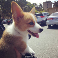 һֻ���Ծɽ�ɽ�Ŀ»�����������ʱ���˯��~