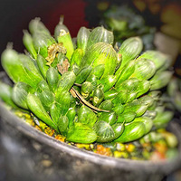 ����ʣ�µģ�˵���ǡ���Ʒ��-�����ж��⡿