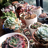 һ��������ƺ�ѽ�����ж��⡿