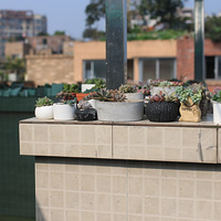 ���������Ҳ�����õĶ���~�����山��·+�����ж��⡿