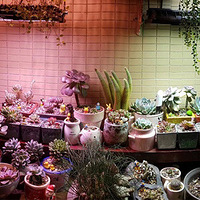 ����ɹ�����˼ҵĶ��⣬���ǲ�Ҫ����+�����ж��⡿