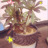 ��ů�Ĵ���������+�����ж��⡿