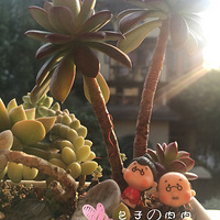 ���Ӥ�����Ĺ���+�����ж��⡿