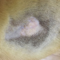 ��������������ɶ����