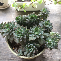 ��Ҳ��ɹ���ҵĶ���+�����ж��⡿