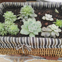 �Ҹ������Ұָ������������ж��⡿