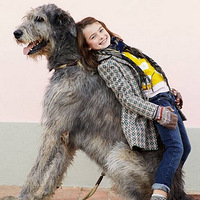 Ը����������һ����������