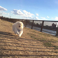 ������ֻ�������ҵ������ˣ�������ʲô��ë��