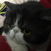 ���д���һö