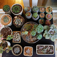 [���ж���]+����̨��ʹ