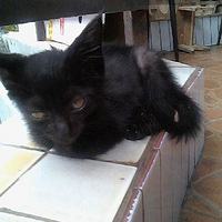 �����Ҽ���������һ��