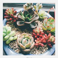 ��һ��ɹ�Ҽ�����+�����ж��⡿