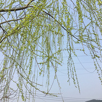 �������⣬�ܱ�������