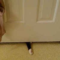 �Դ����˳����Ҳ���õ����ϲ�����һ�����ˣ�