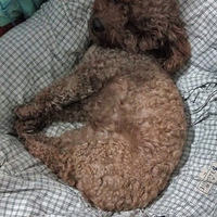 ��������ķ�Ȧ�����¼