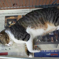 �ټ��ˣ��ҵ�����