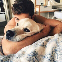 ԭ����������ǿС�������ڰ�ռ���ѵĻ���