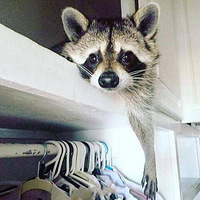 ����С���ܵ��ճ�