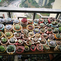 ��û�п���������欣���ȴ��һ������������ϲ�á����ж��⡿