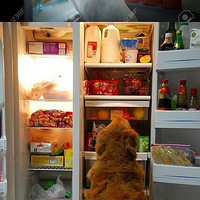 ���˳���֮�󣬼������ʳ���ǳԵ��ر�죡