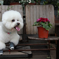 ��¼������ӵ�һ����ʱ�� ��������ʱ�����̫���ˣ���