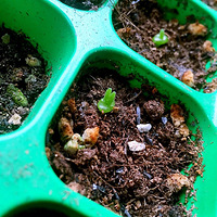 �����������⣬�����Լ�û���������ж��⡿